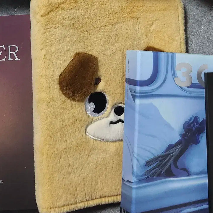 데이식스 포토카드 포함 바인더 돈 팝니다