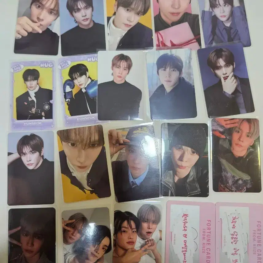 라이즈 은석 포킨