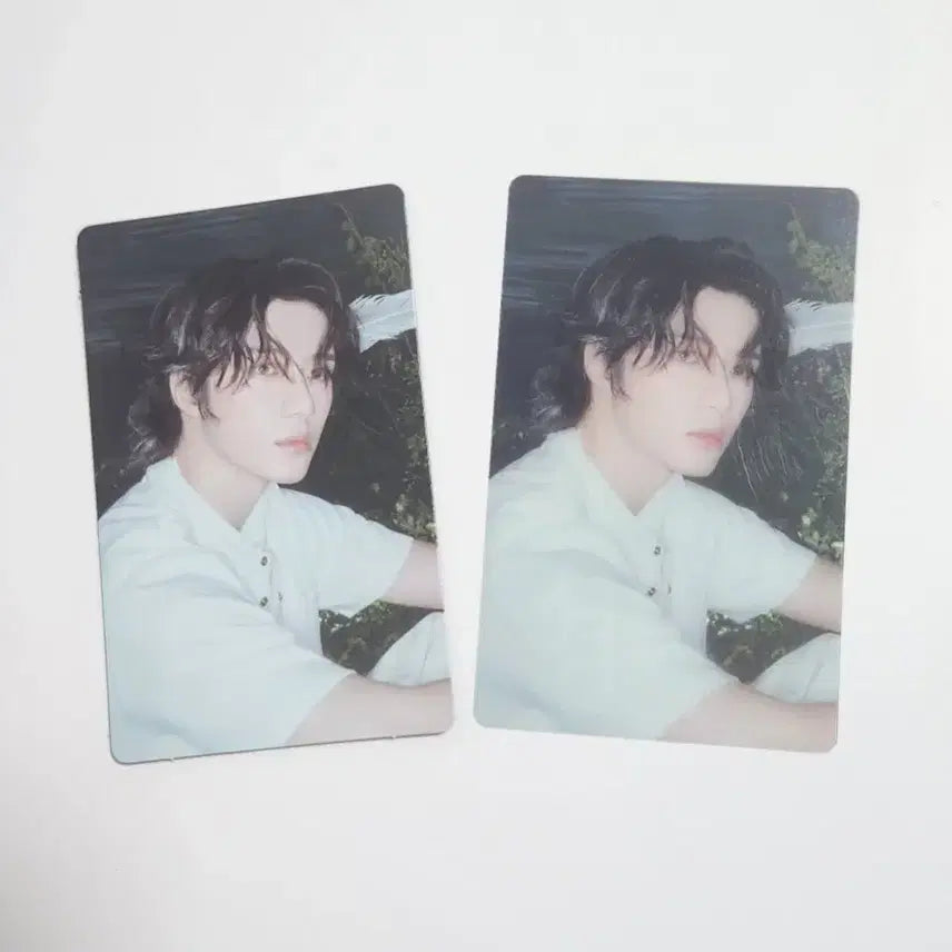 스타키스드 위버스 특전 범규