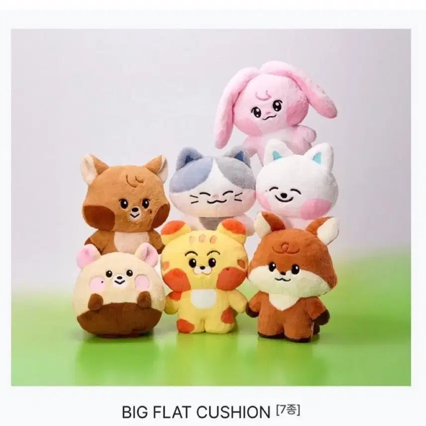 엔시티드림 라인프렌즈스퀘어 드리미즈 대왕밤찌