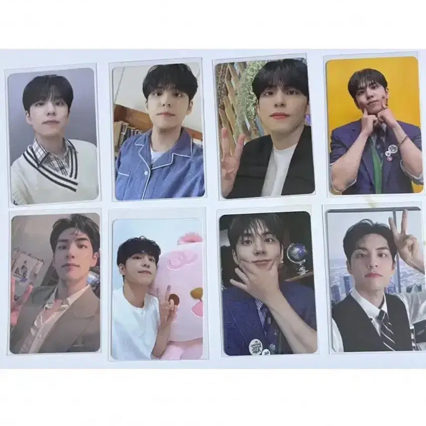 데이식스 원필 포카 55장 일괄양도