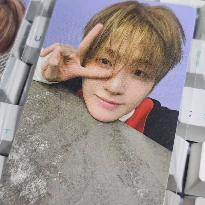 투어스 지훈 playhard 특전 포카 3종 set