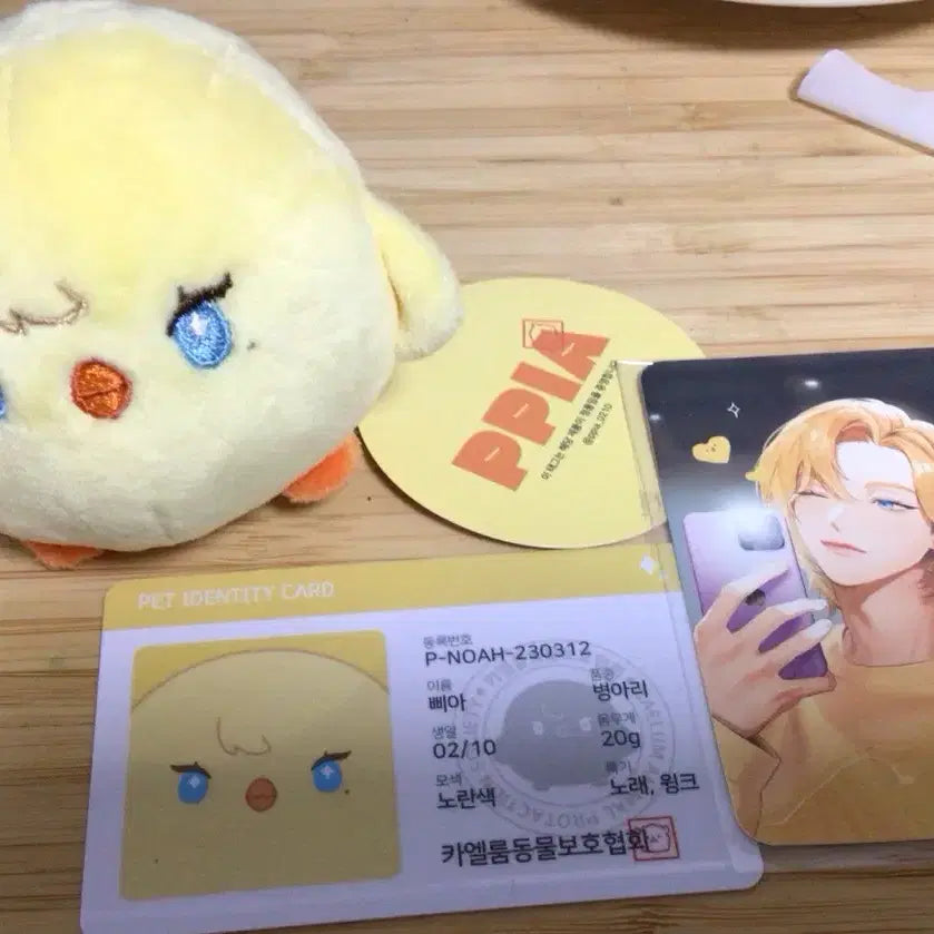 플레이브 노아 인형 삐아 비공굿