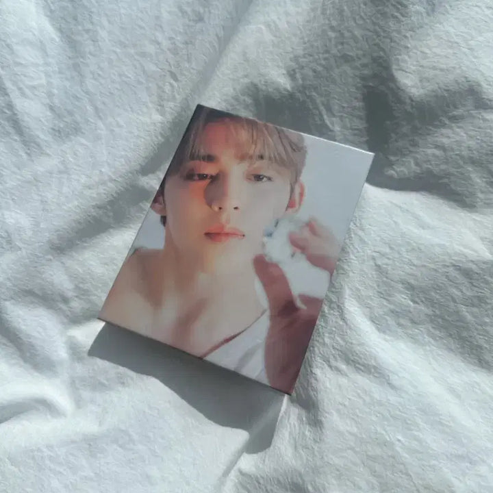 세븐틴 에스쿱스캐럿반