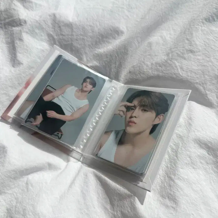 세븐틴 에스쿱스캐럿반