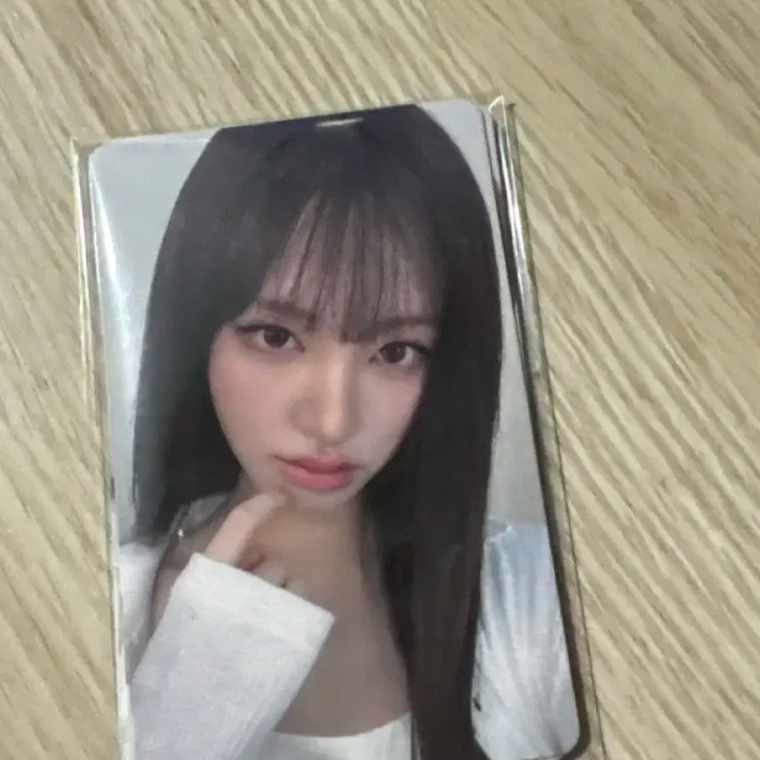 리즈 에스네이쳐 포카 4장