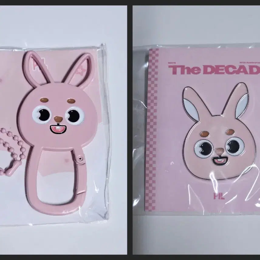 데이식스 데니멀즈 카라비너+뱃지 원필