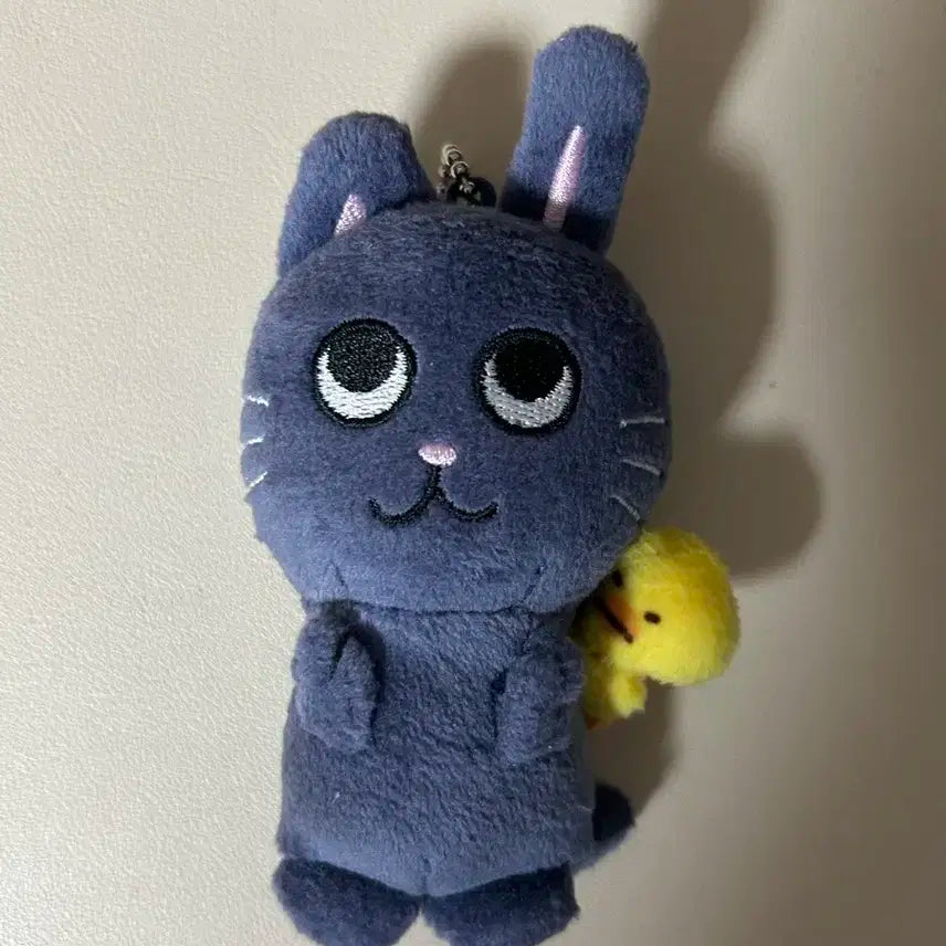 라이즈 원빈 토냥덕 인형 판매