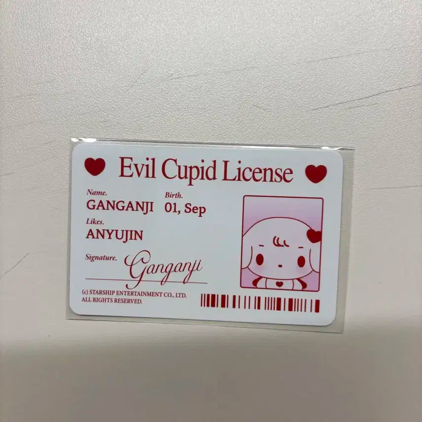 아이브 시크릿 강안지 인형엠디