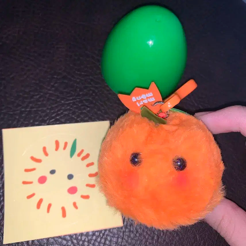 귤마리몽 한세진