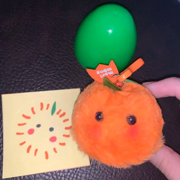 귤마리몽 한세진