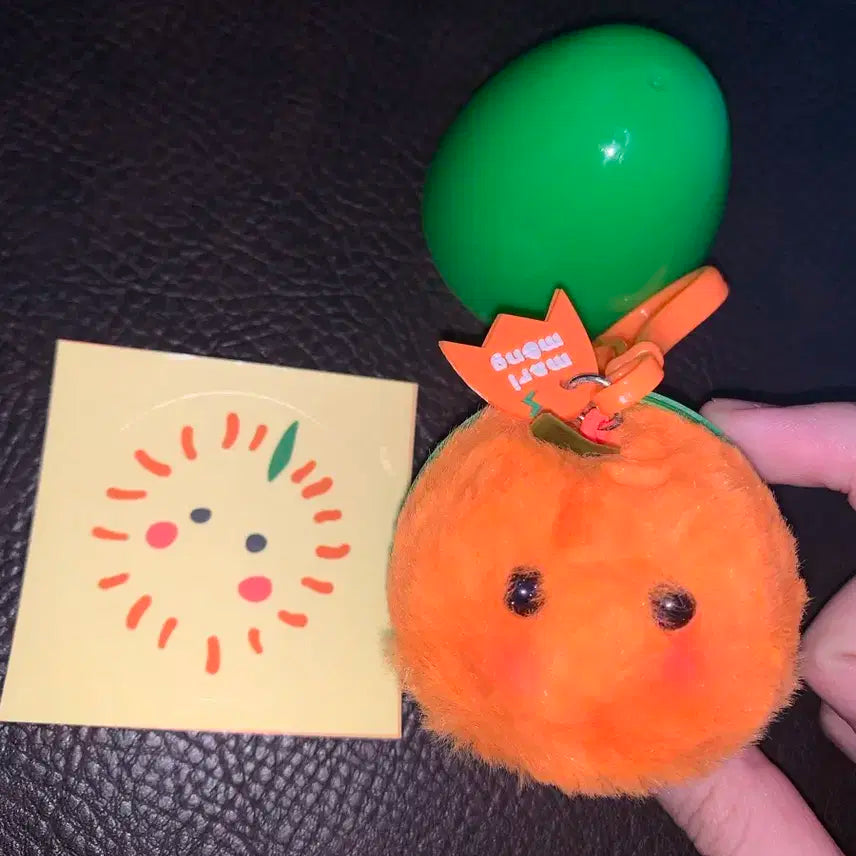 귤마리몽 한세진