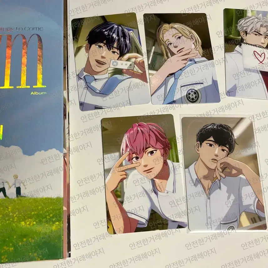 플레이브 육여름 앨범포카 드볼