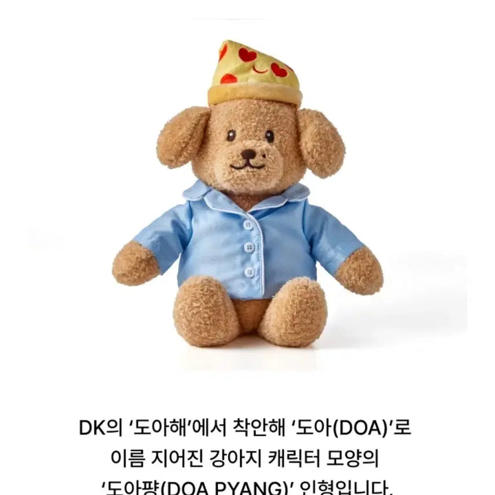 세븐틴 DK 도아인형