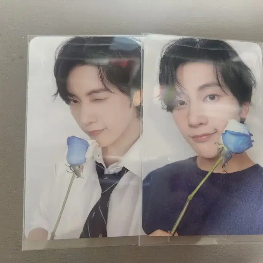 제로베이스원 석매튜 제로즈 3기 포카 일괄 양도해요!