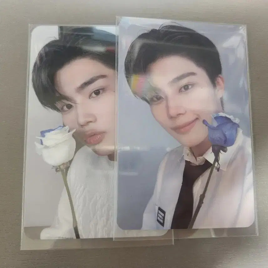 제로베이스원 박건욱 제로즈 3기 포카 일괄 양도해요