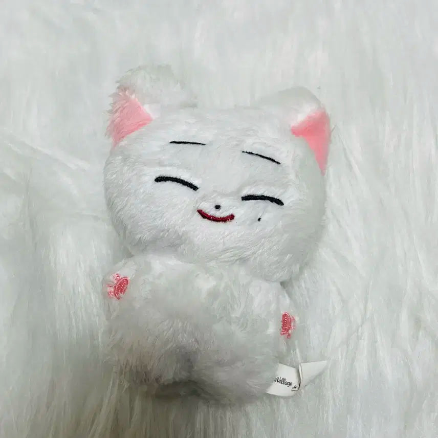 엔하이픈 엔니멀즈 선우 한국폭