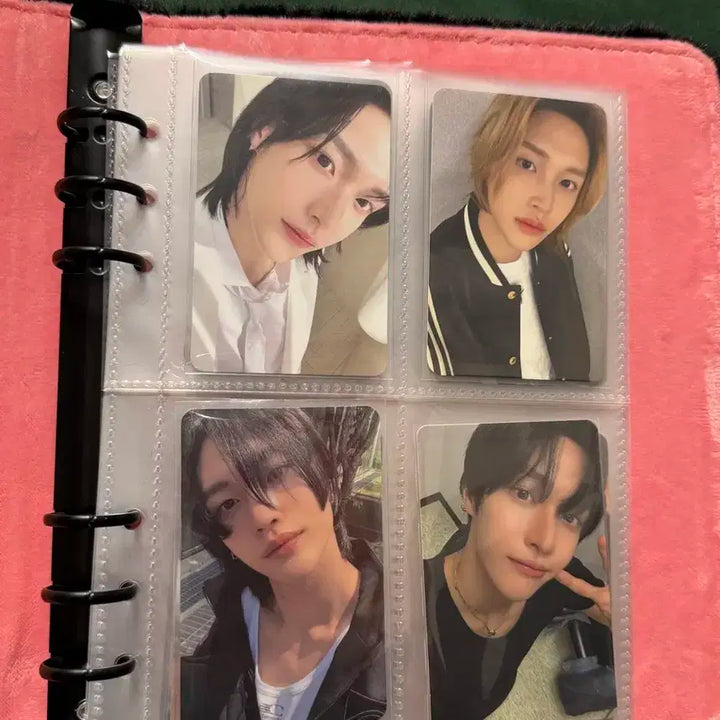 라이즈 포카 일괄 판매