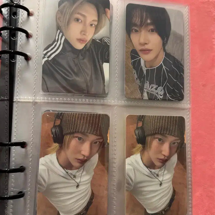 라이즈 포카 일괄 판매