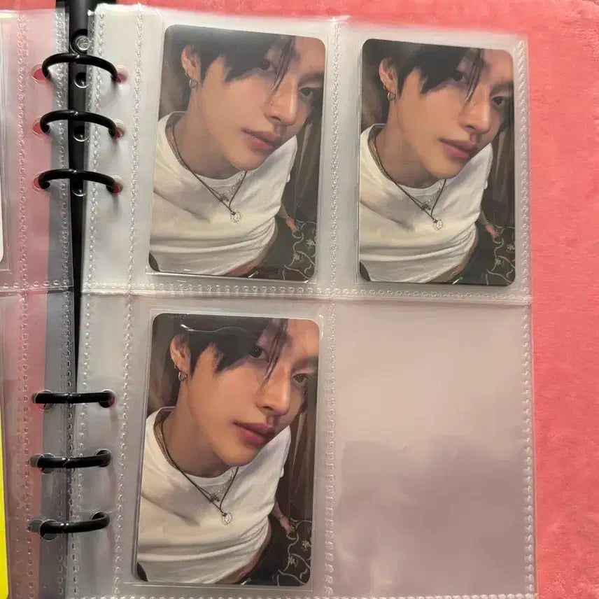 라이즈 포카 일괄 판매