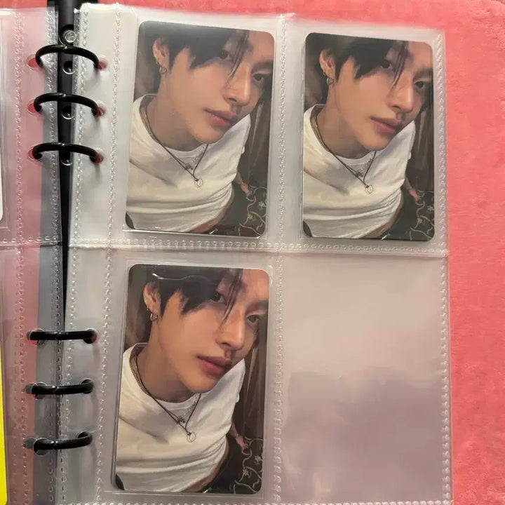 라이즈 포카 일괄 판매