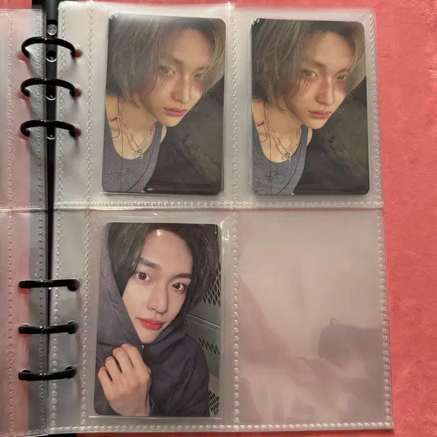 라이즈 포카 일괄 판매