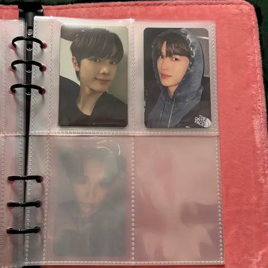 라이즈 포카 일괄 판매