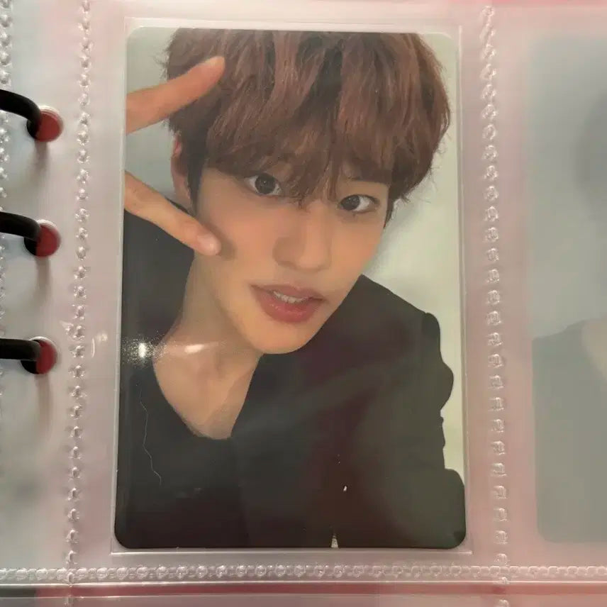 라이즈 포카 일괄 판매