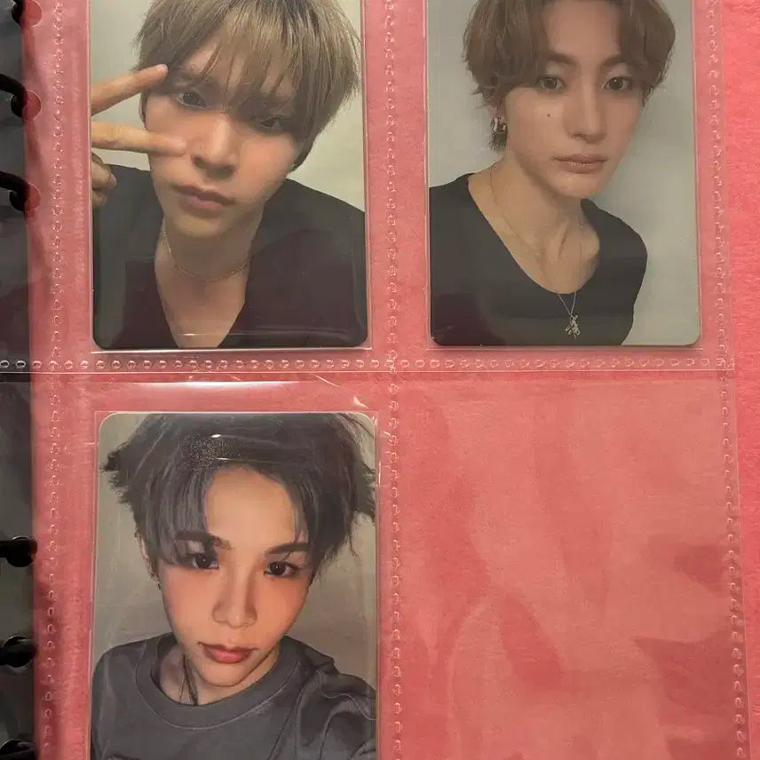 라이즈 포카 일괄 판매