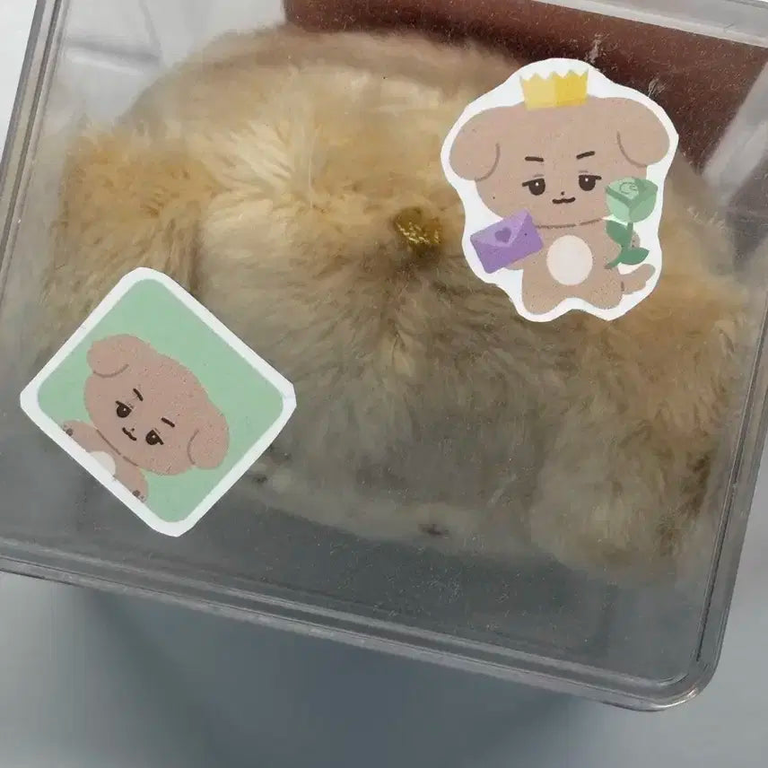 [제로베이스원] 김규빈 규뭉이 인형