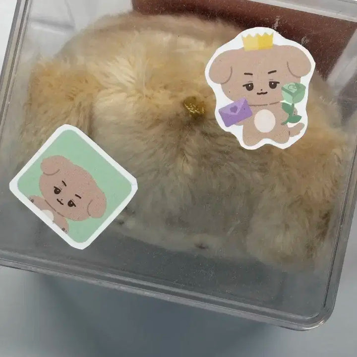 [제로베이스원] 김규빈 규뭉이 인형