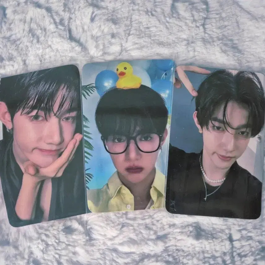 장하오 포카양도