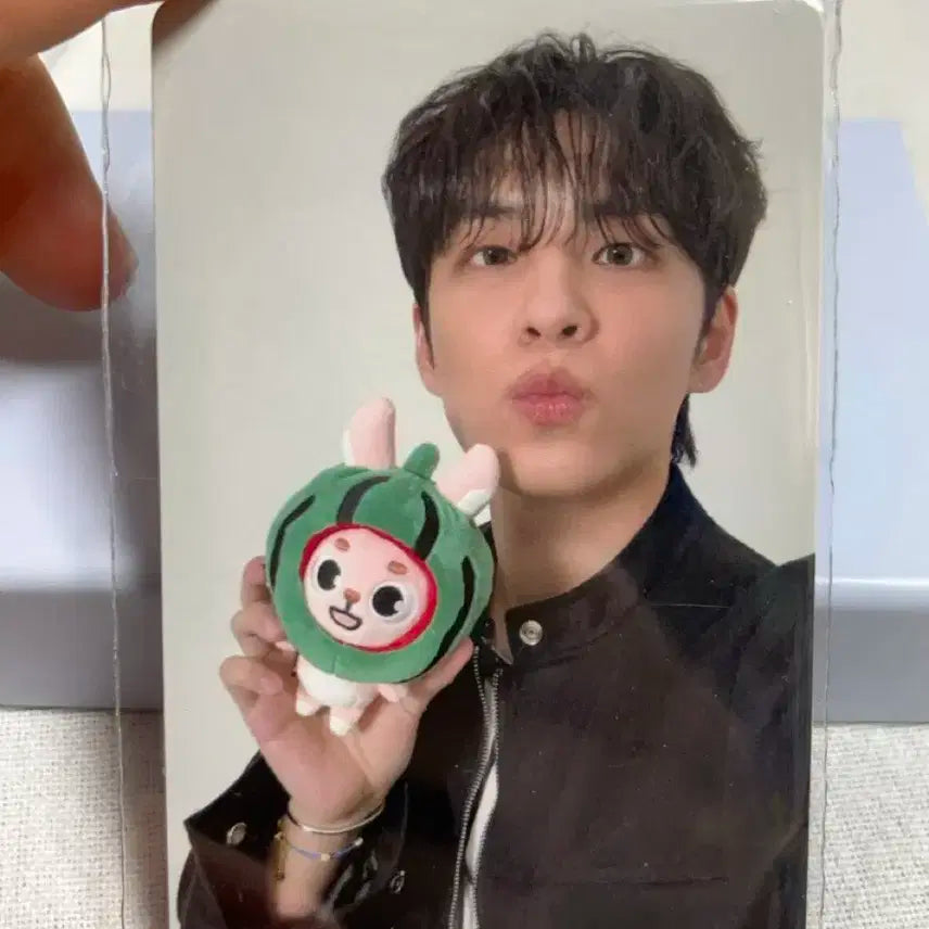 데이식스 포에버영 피날레 콘서트 4만원 포카 원필