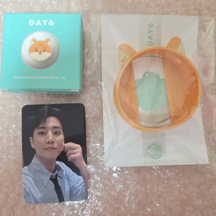 [일괄] 데이식스 커스텀 커버 후즈팬 미공포