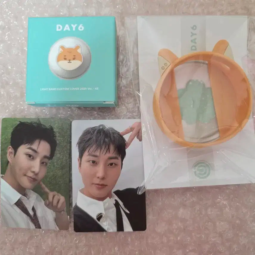 [일괄] 데이식스 커스텀 커버 쁘띠멀즈 케