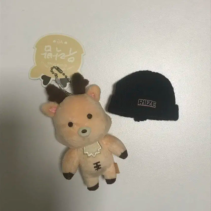 라이즈 우락밤 1기 + 비니