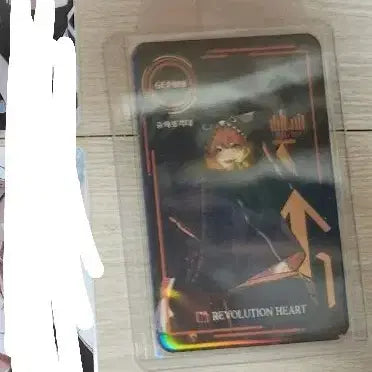 등장 제미니 포토카드