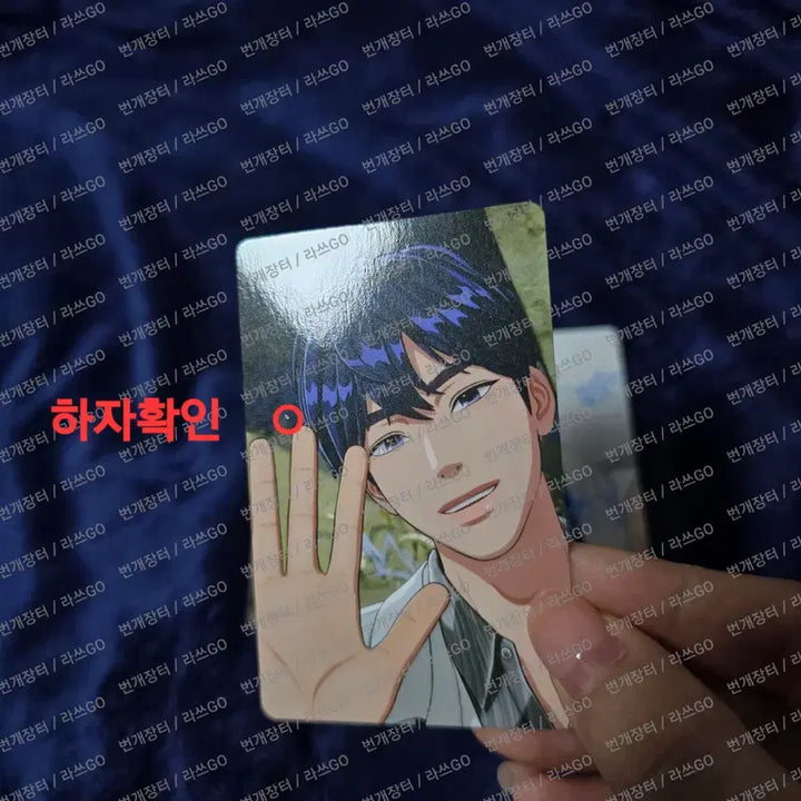 플레이브 예준 럭드 카쿠렌보 위버스 유니버셜 타워레코 일괄