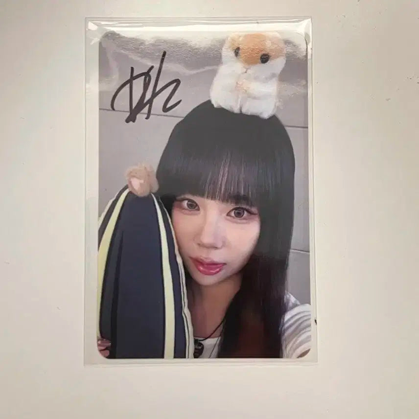 퍼플키스 도시 친필싸인 포토카드