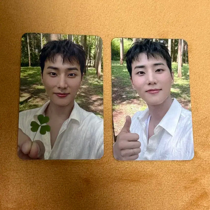 데이식스 영케이 레윗노 포카 일괄