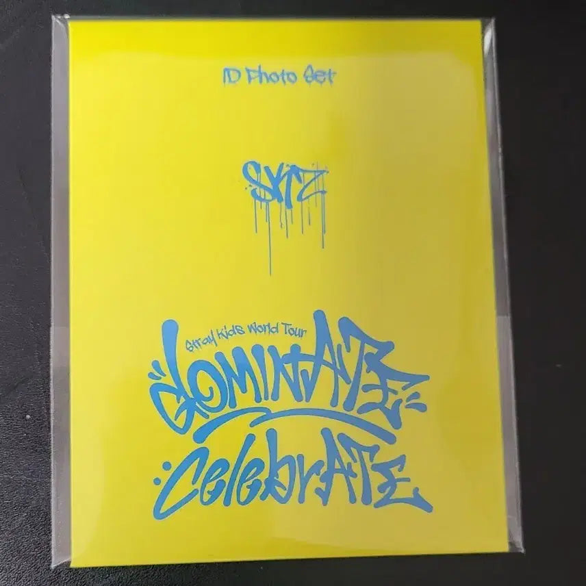 스트레이키즈 스키즈 팝업 증명사진 증사 세트