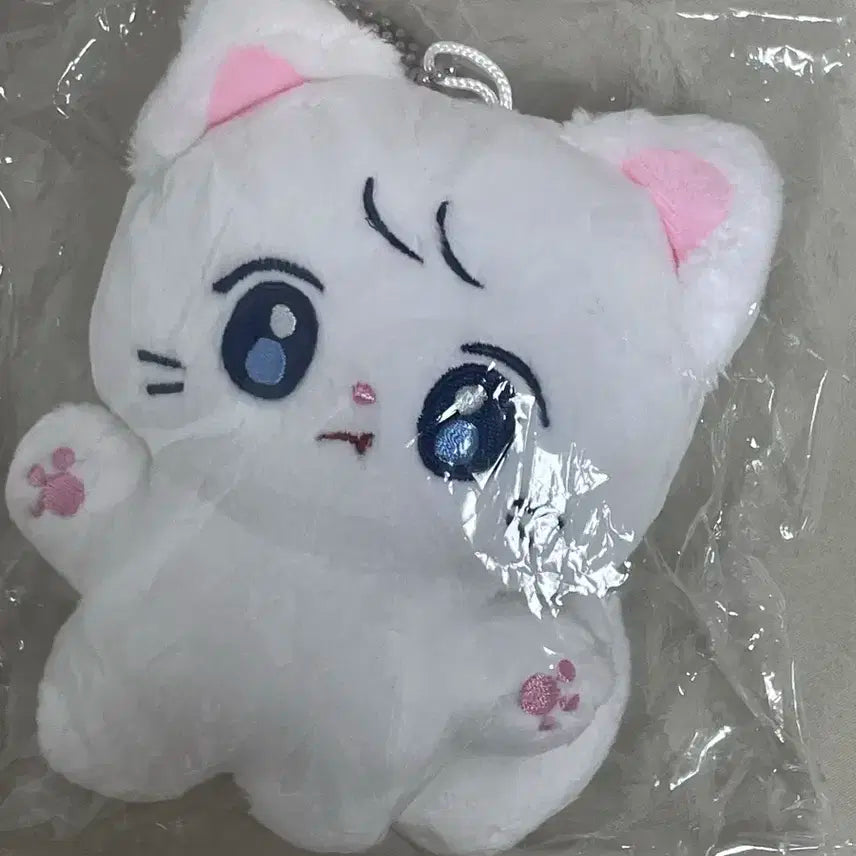 [미개봉] 르세라핌 사쿠라 비공굿 인형 중냥이 사꾸꾸