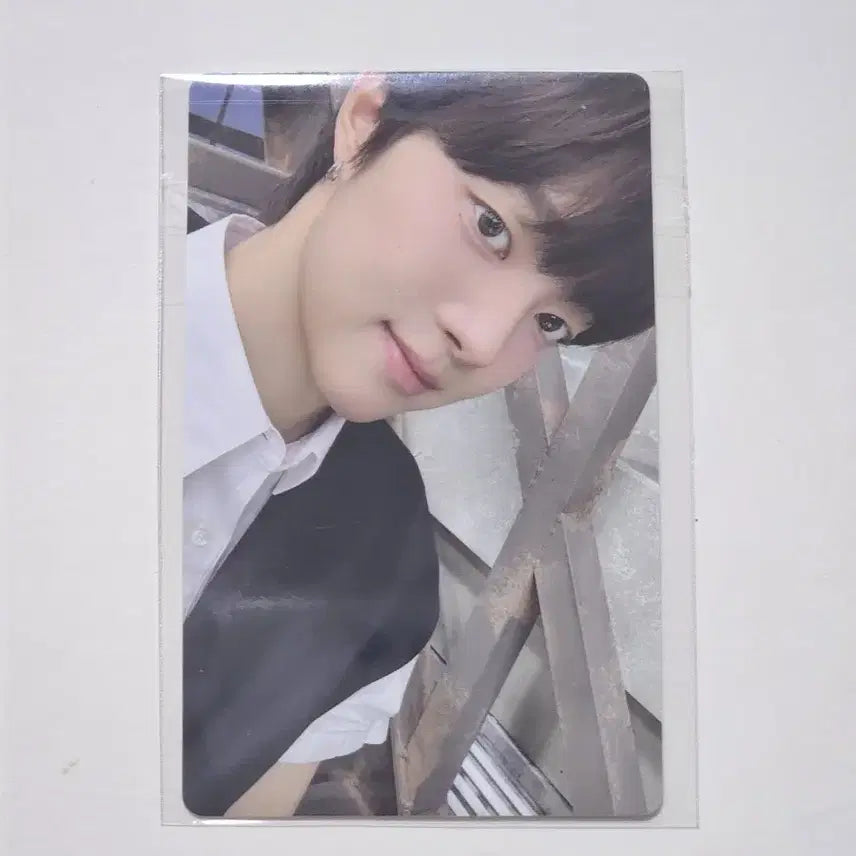 앤팀 의주 백투라이프 위버스 특전 포카