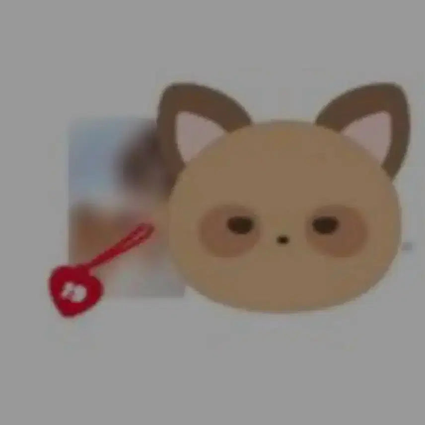 더보이즈 선우 제너레이션2 엠디 파우치