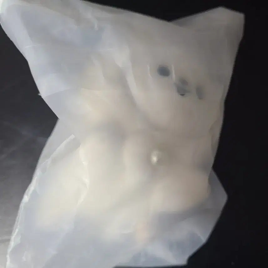 스트레이키즈 스키즈 팝업 스키주 라잉키링 리빗