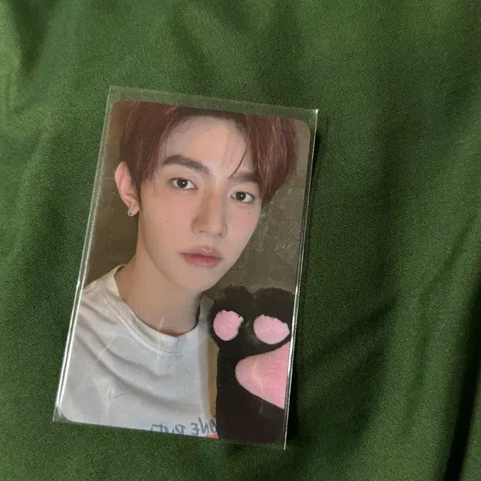 제베원 장하오 제로즈존3일차 콘서트포카