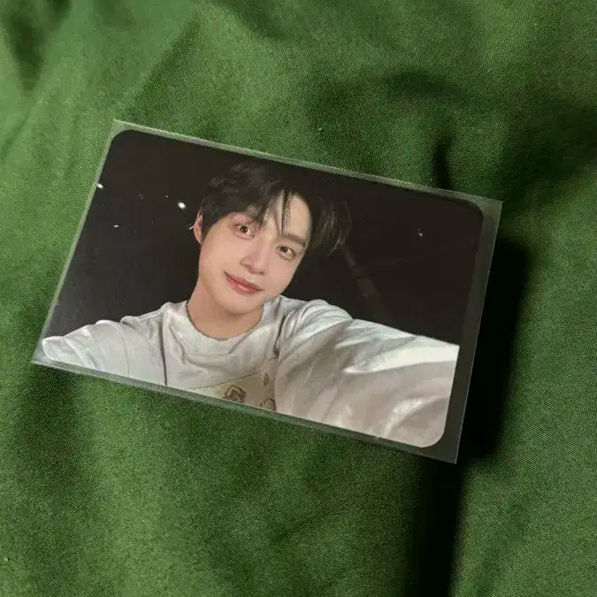 제로베이스원 제베원 공방 스페셜 포카 김지웅