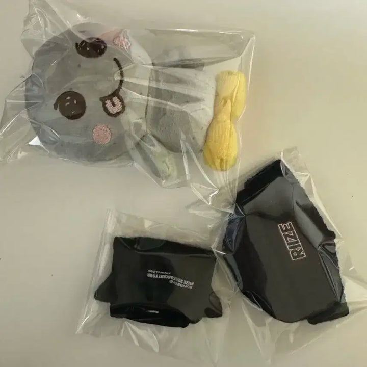 라이즈 riize 은석 송용돌이 1기 세트 양도