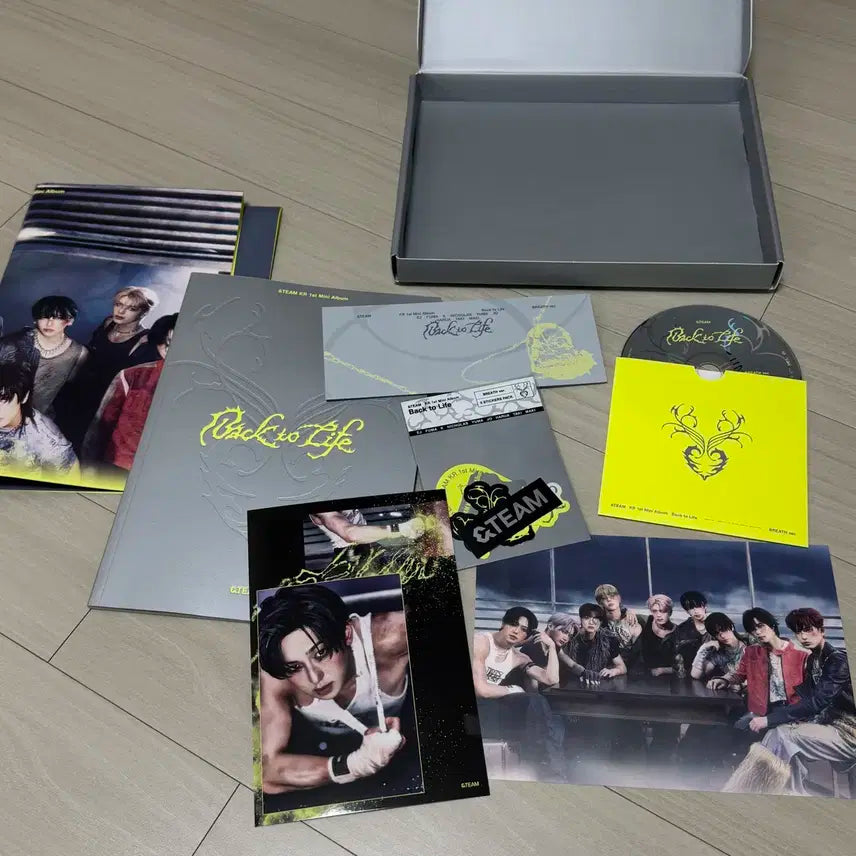 앤팀 Back to Life 개봉앨버 양도