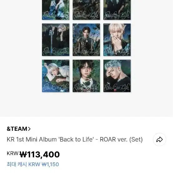 앤팀 백투라 미개봉 9종 로어 세트